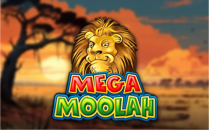 Chase life-changing rewards on Mega Moolah, the legendary safari-themed game famous for its massive progressive payouts.