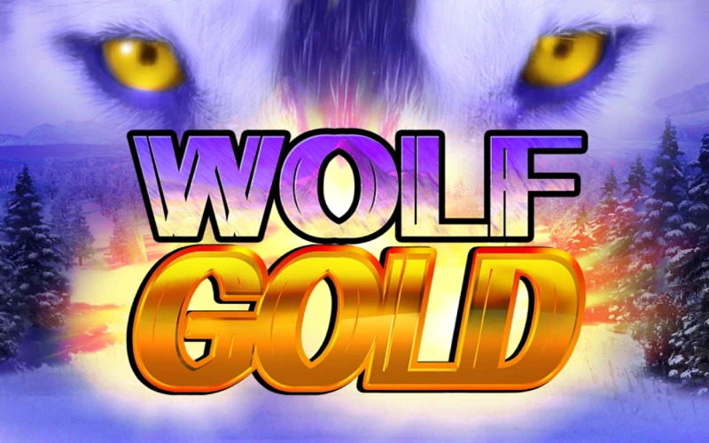 Run with the pack in Wolf Gold to unlock the money respin feature and fixed jackpots.